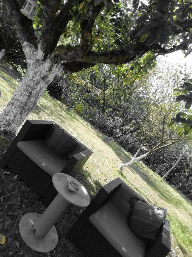 Bed and Breakfast Escapade Champetre Hauteville-sur-Fier Exterior foto