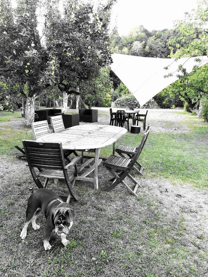 Bed and Breakfast Escapade Champetre Hauteville-sur-Fier Exterior foto